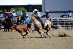 3HRodeo8-11-25_PRCASteer_04272_