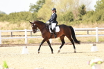 SBM_019295