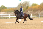SBM_000551