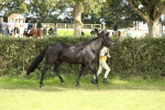 SBM_68566