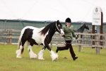 SBM_05958