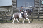 SBM_007959