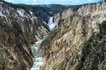 Yellowstones Lower Falls Canyon