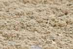 230701A-121041-06018