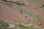 Black Combe-587