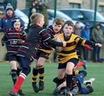 K Rugby Under 10 (8/12/24) portfolio