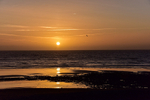 ACP_6209-1
