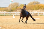 SBM_001738