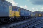 20th April 1991
