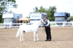 SBM_02478