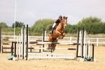 SBM_026206