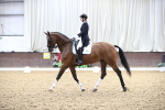 SBM_016235