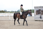 SBM_01447