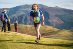 Sale Fell-455