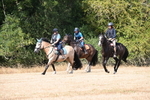 WJ6_9031