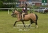 JAC_4217