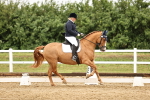 SBM_005358