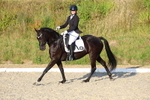 Class 5: Novice 1 2024 Section A portfolio