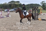 BPP_6291