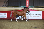 SBM_14876
