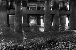 Under the Pier 2