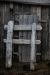 Kapp Lee, Edgeøya 7523