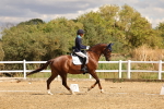 SBM_006484
