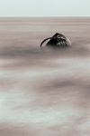 Marys Shell 04