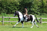 3E7A8693