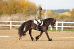 SBM_000950
