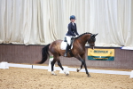 SBM_009080