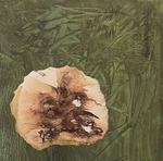 Bog Earth 2, 15cm x 15cm
