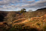 Ballaskella in the sun