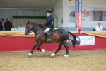 SBM_17832