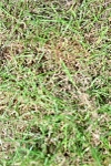 SBM_12211
