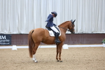 SBM_016682