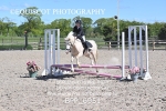 BPP_6951