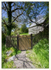 Entance to St.Clether's Holy Well