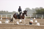 SBM_004789