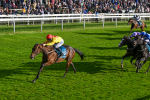 111024-Race 5-Vince LAmour-2011