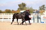 SBM_14246
