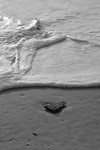 Black & White portfolio