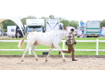 SBM_04469