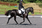 SIAL0562