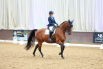 SBM_004973