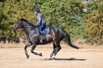 WJ6_6850