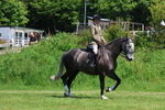 3E7A8226