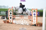 Cls 42 Ponies - Mini Tour portfolio