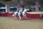 SBM_13115