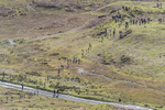 Elterwater-6